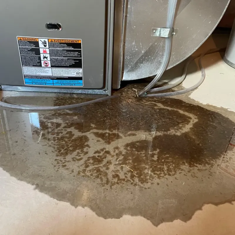 Appliance Leak Cleanup in Valle Vista, CA